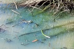IMG_20260428_105617656_HDR