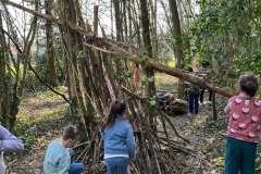 IMG_3378