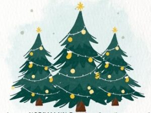 OGEC : Sapins de Noël