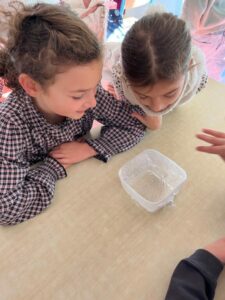 Novembre – décembre chez les CE1