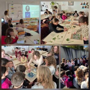 CM1: Création de cyanotypes avec l’artiste Marie Coutand