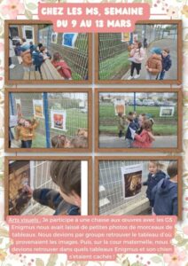 Chez les MS : semaine du 9 au 13 mars