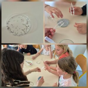Projet scientifique ChlorISS 🌱👩‍🚀