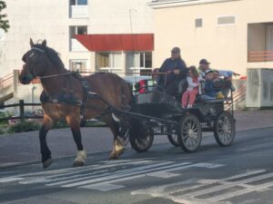 GS : semaine du 1er au 5 juin